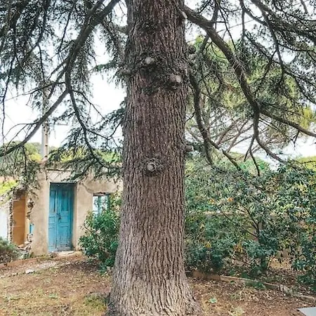 Mazet A Proximite Du Centre Villa Nîmes